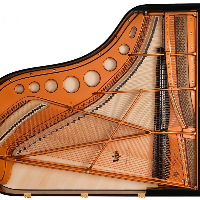 Bösendorfer Modell 200