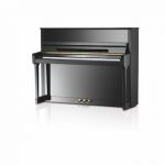 C-116_Tradition_Ebony-high-gloss.jpg